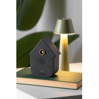 Nástenné kukučkové hodiny Modern Cuckoo Karlsson KA6095BK, 12cm